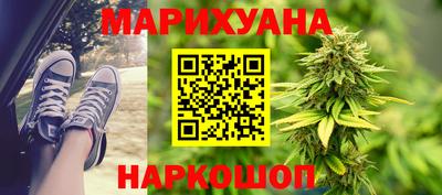 jwh Новозыбков
