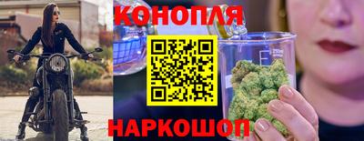 эйфоретик Новокубанск