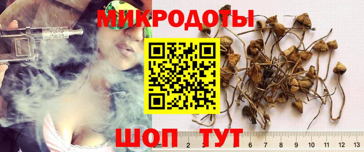 Галлюциногенные грибы Cubensis Чебаркуль