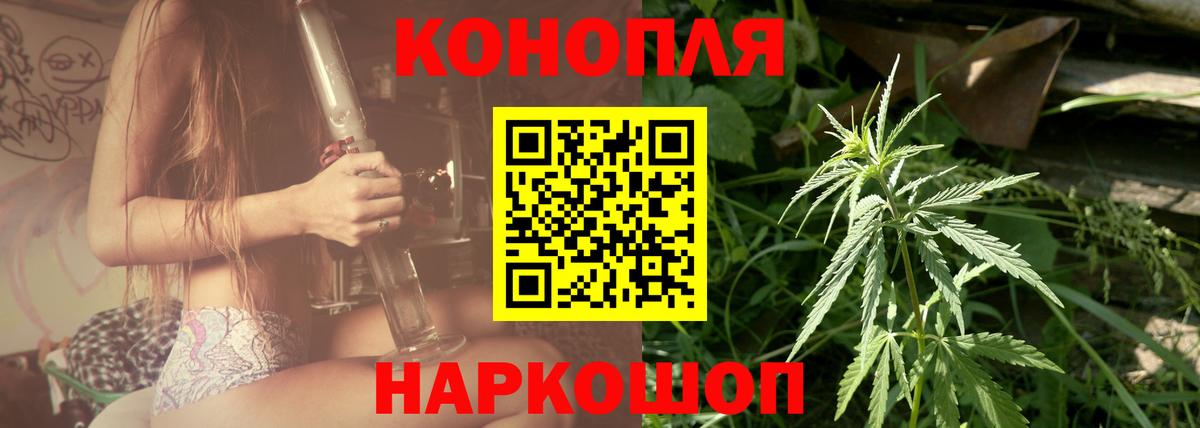 Конопля сатива Чебаркуль